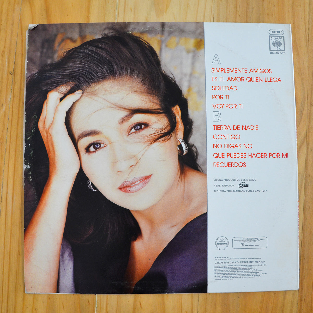 Ana Gabriel <br> Tierra De Nadie 1988 <br> DCS 463537