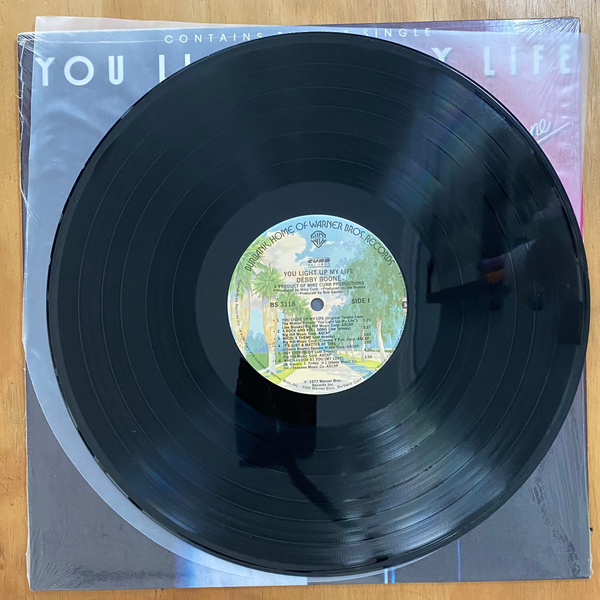 Debby Boone<br>You Light Up My Life 1977 <br>Warner Bros. Records / Curb Records – BS 3118